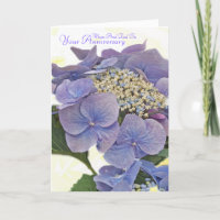 Blauw, mãe e pai do Hydrangea sobre, seu