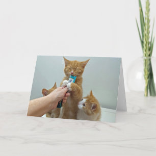 Cartão "Bliss" - Huey e seu presente favorito