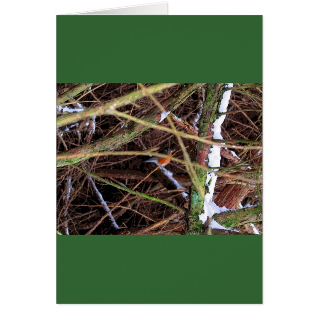 Cartão Blizzard Bird CB (Frente)