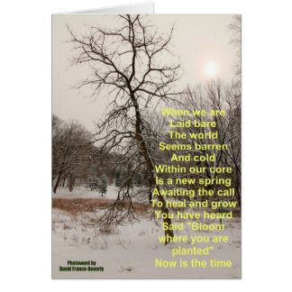 Cartão Bloom onde você está plantado