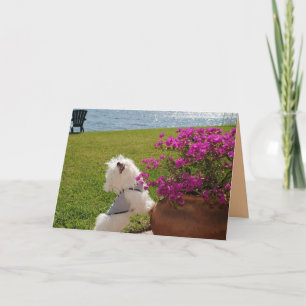 Cartão Bloom where you are planted greeting card image