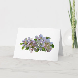 Cartão Blossomas de Maçã