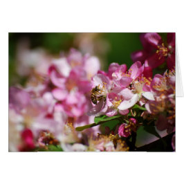 Cartão Blossomas de Maçã e Abelhas de Mel