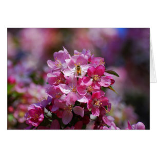 Cartão Blossomas de Maçã e Abelhas de Mel