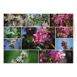 Cartão Blossomas de Maçã e Abelhas de Mel