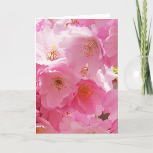 Cartão Blossomas de Primavera rosa (Frente)