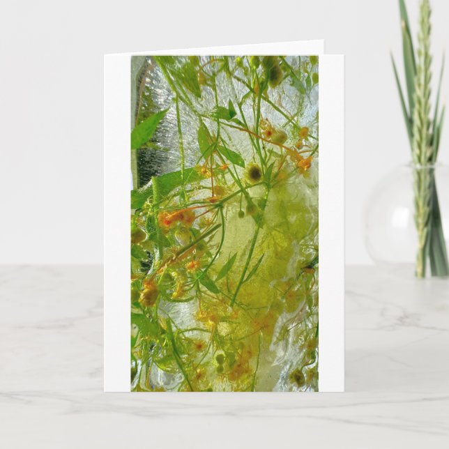 Cartão Blossomas Forçados, (Frente)