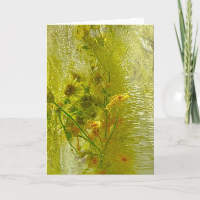 Cartão Blossomas Forçados, (Frente)