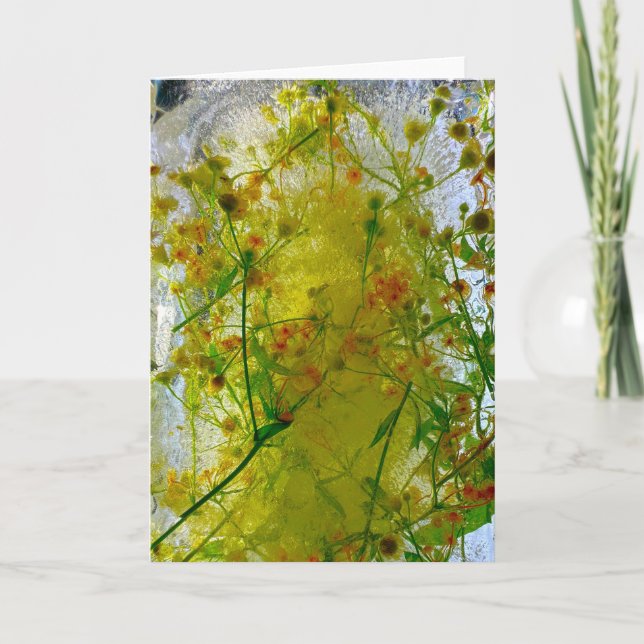 Cartão Blossomas Forçados, (Frente)