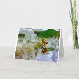 Cartão Blossomas Forçados,