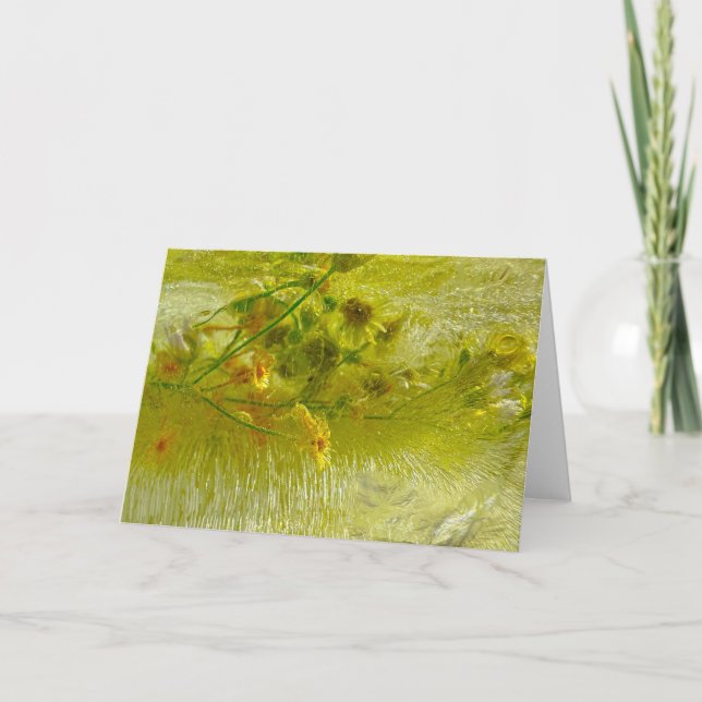 Cartão Blossomas Forçados, (Frente)