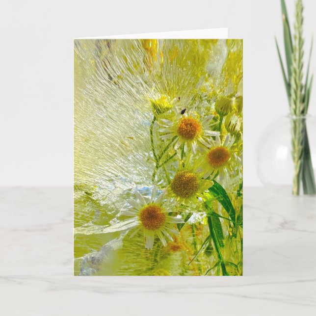 Cartão Blossomas Forçados, (Frente)