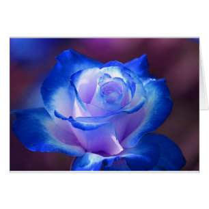 Cartão blossoms vines petal rose flowers flower blue love