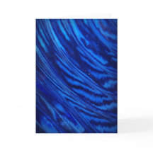 Blu Glass : Placa de Vazio