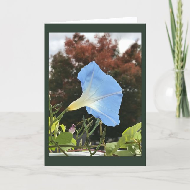 Cartão Blue Autumn Morning Glory Blank (Frente)