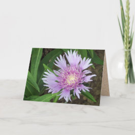 Cartão Blue Danúbio Stokes Aster Flower