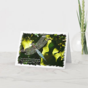 Cartão Blue Dragonfly with Green Leaves/Quotation