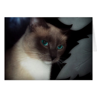 CARTÃO BLUE EYE BELLA