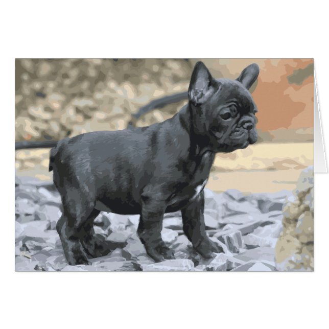 CARTÃO BLUE FRENCHIE (Frente Horizontal)