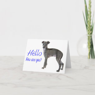 Cartão Blue Hello Cinza Italiana Greyhound Puppy Dog
