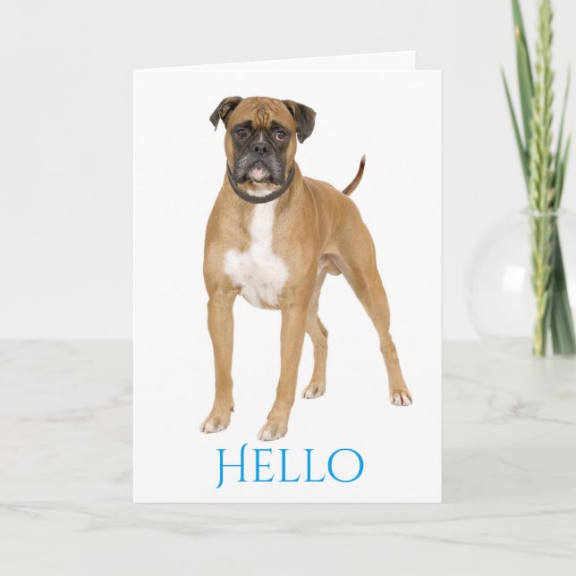 Cartão Blue Hello / Hi Boxpy - Brown & White Dog (Frente)