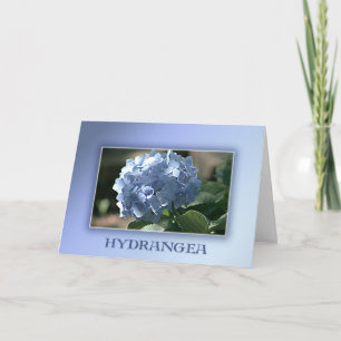 Cartão Blue Hydrangea