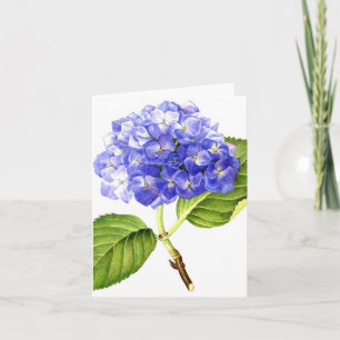 Cartão Blue Hydrangea