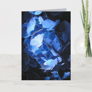 Cartão Blue Hydrangea - Greeting Card