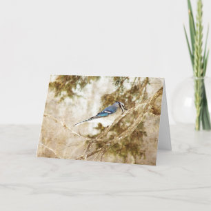 Cartão Blue Jay, Aniversário