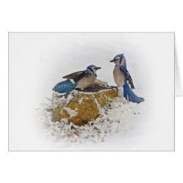 Cartão Blue Jay Batalha