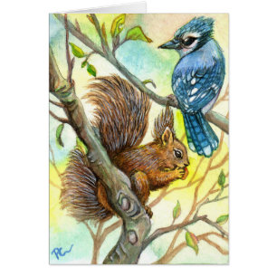 Cartão Blue Jay E Squirrel