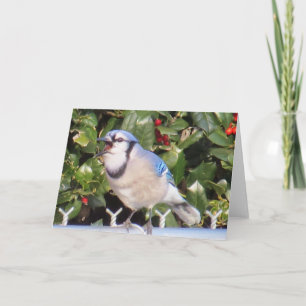 Cartão Blue Jay Greeting Card