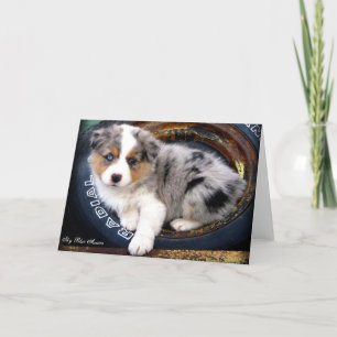 Cartão Blue Merle 4 Australian Shepherd Greeting Card