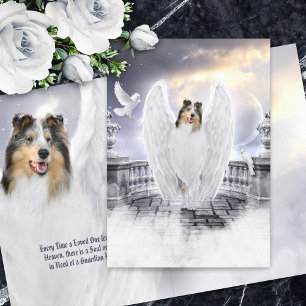 Cartão Blue Merle Collie Angel Heaven - Pet Loss Sympathy