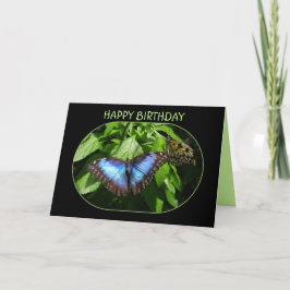Cartão Blue Morpho Butterfly Feliz Aniversário