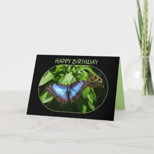 Cartão Blue Morpho Butterfly Feliz Aniversário