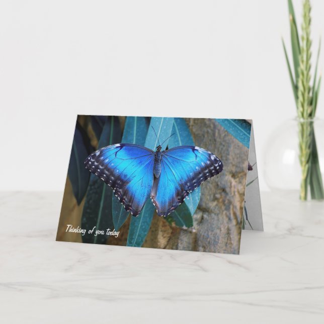 Cartão Blue Morpho butterfly thinking of you (Frente)