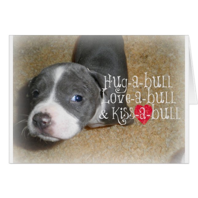 Cartão Blue Nose Hugs (Frente Horizontal)