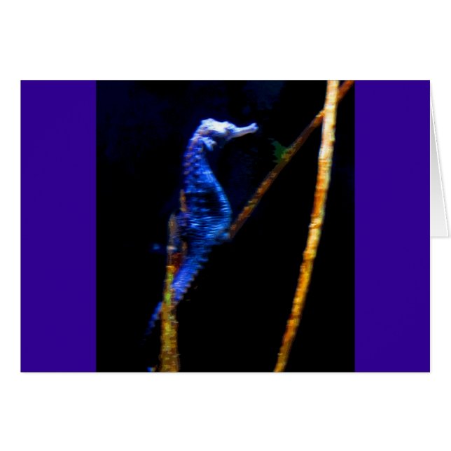 Cartão Blue Seacavalo CB (Frente Horizontal)