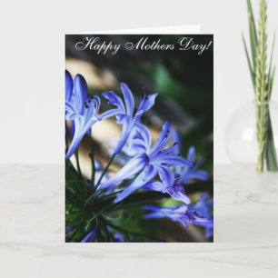 Cartão Blue Wildflower Mother's Day Card