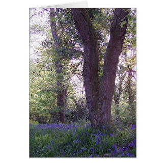Cartão Bluebell Walk