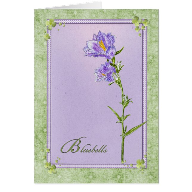 Cartão Bluebells (Frente)