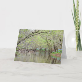 Cartão Bluebells in the Creek - Nature Greeting Card