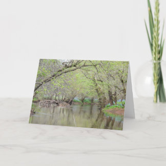 Cartão Bluebells in the Creek - Nature Greeting Card