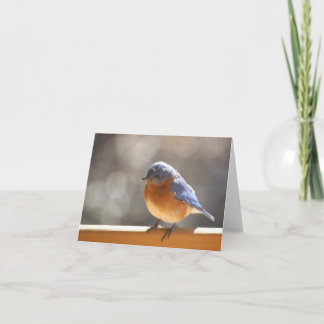 Cartão Bluebird Notecard - vazio para dentro