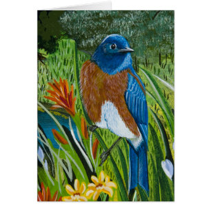 Cartão Bluebird ocidental