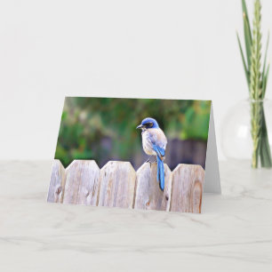 Cartão Bluebird On Fence Scripture Card Psalm 91:2