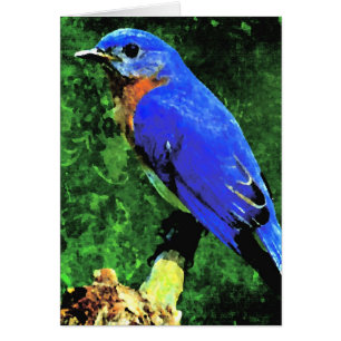 Cartão Bluebird Todas as Ocasiões