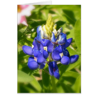 Cartão Bluebonnet de Texas w/insert