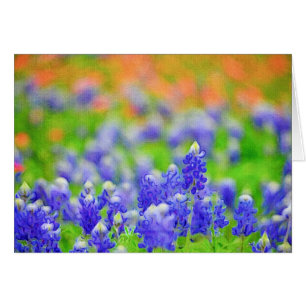 Cartão Bluebonnet em canvas
